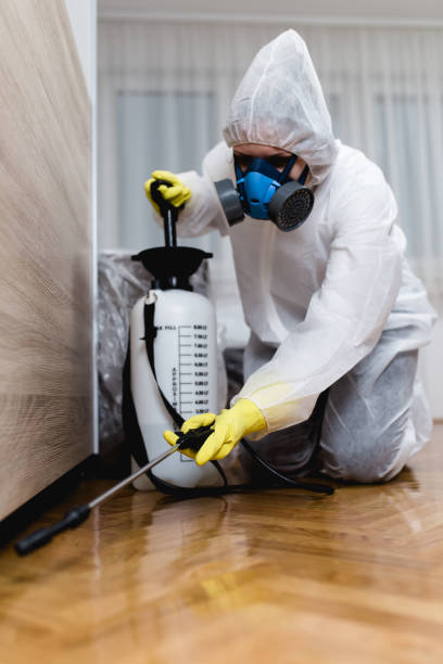 Pest Control for Hotels in Lexington, NC